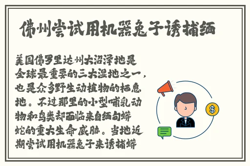 九幺下载玩命加载中高清画面
